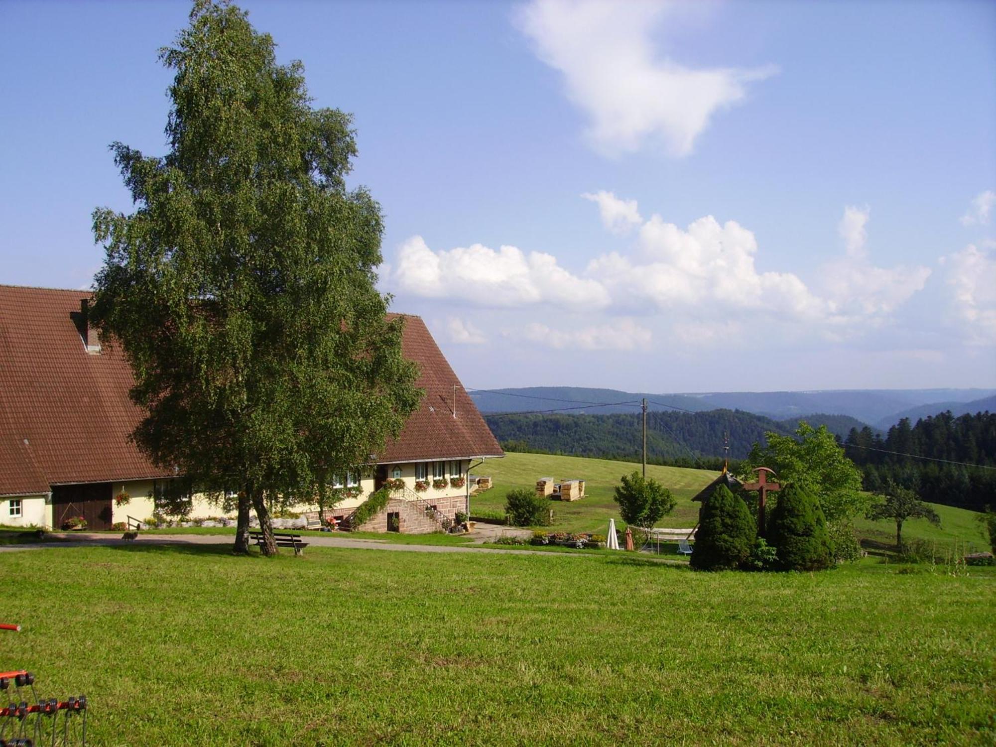 Вилла Aeckerhof Вольфах Экстерьер фото